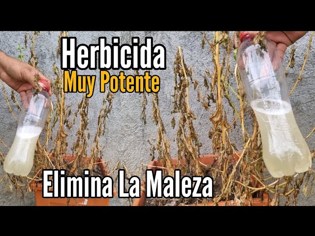 potente herbicida que mata casi todas las plantas