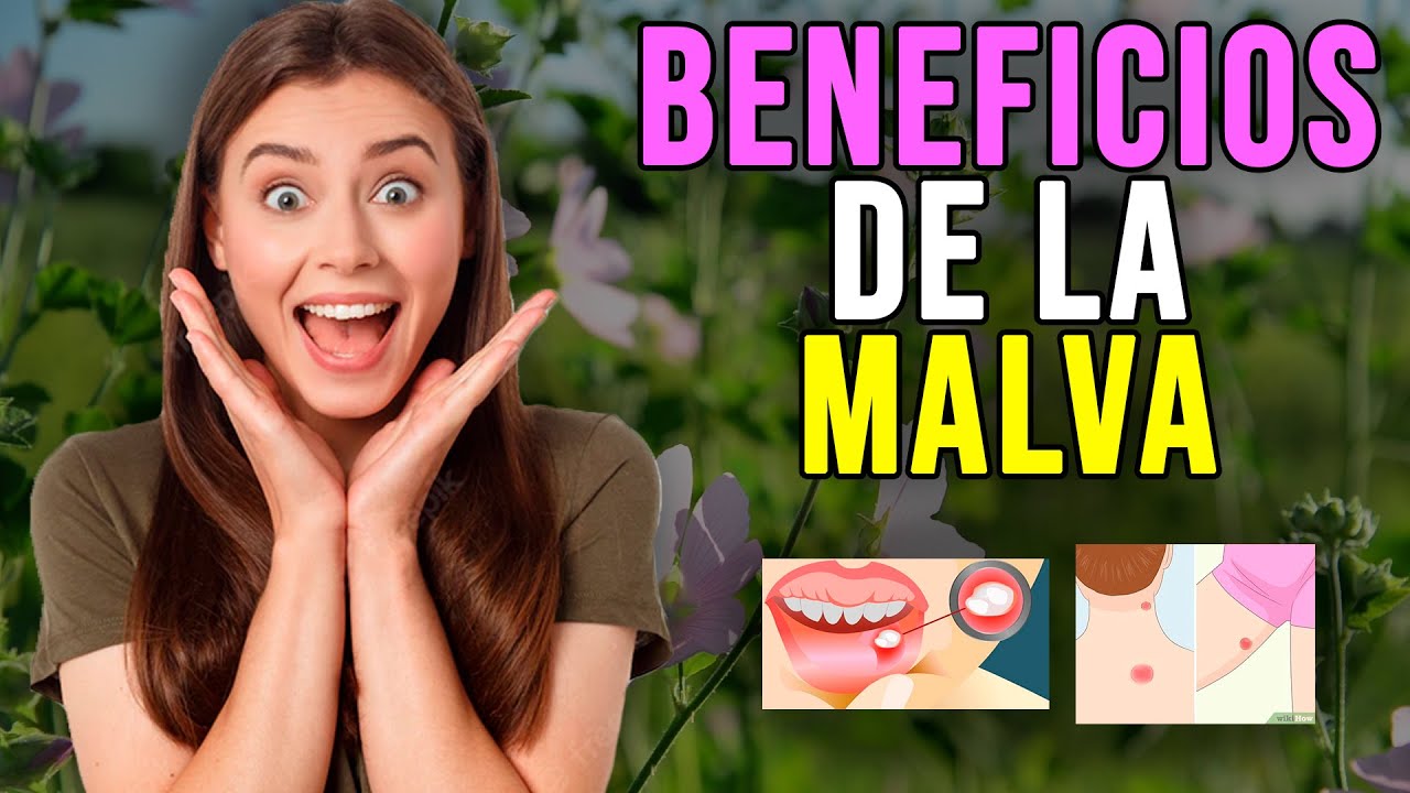 propiedades de la flor de malva
