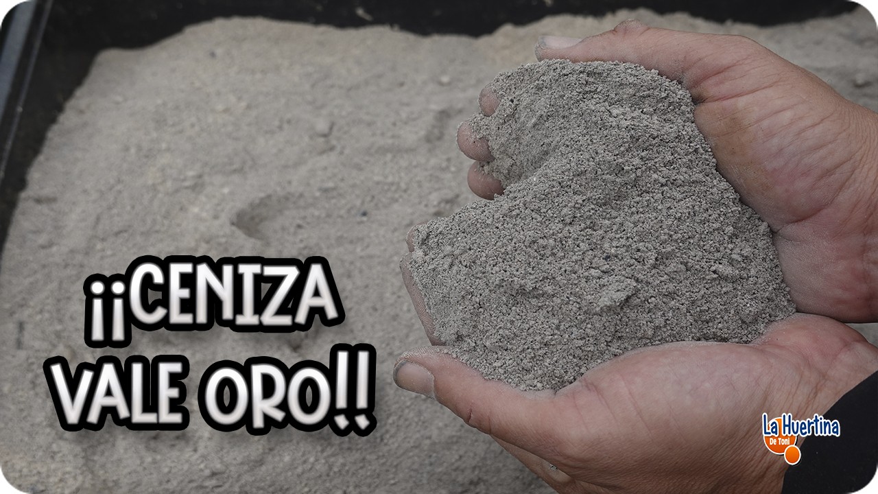 que beneficios tiene la ceniza para las plantas