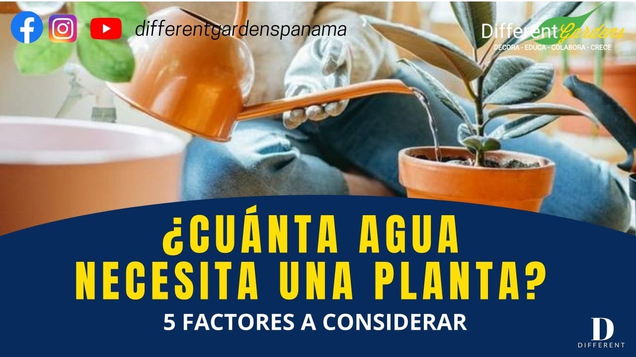 que cantidad de agua necesita una planta