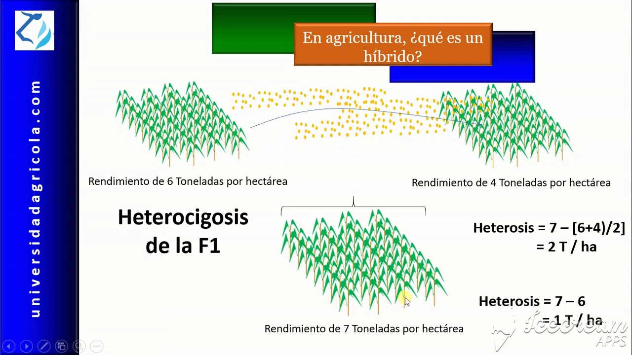 que es un hibrido en plantas