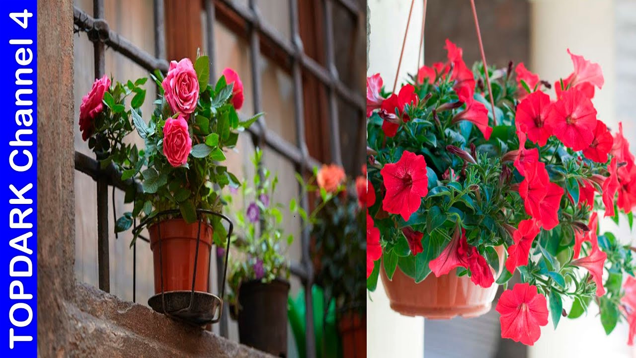 que flores plantar en macetas pequeñas
