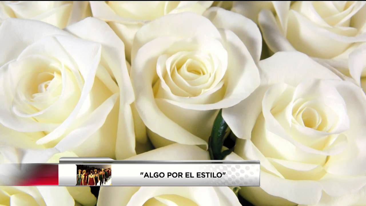 que flores regalar a una amiga