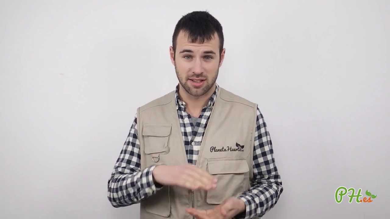 que plantar en la huerta en marzo