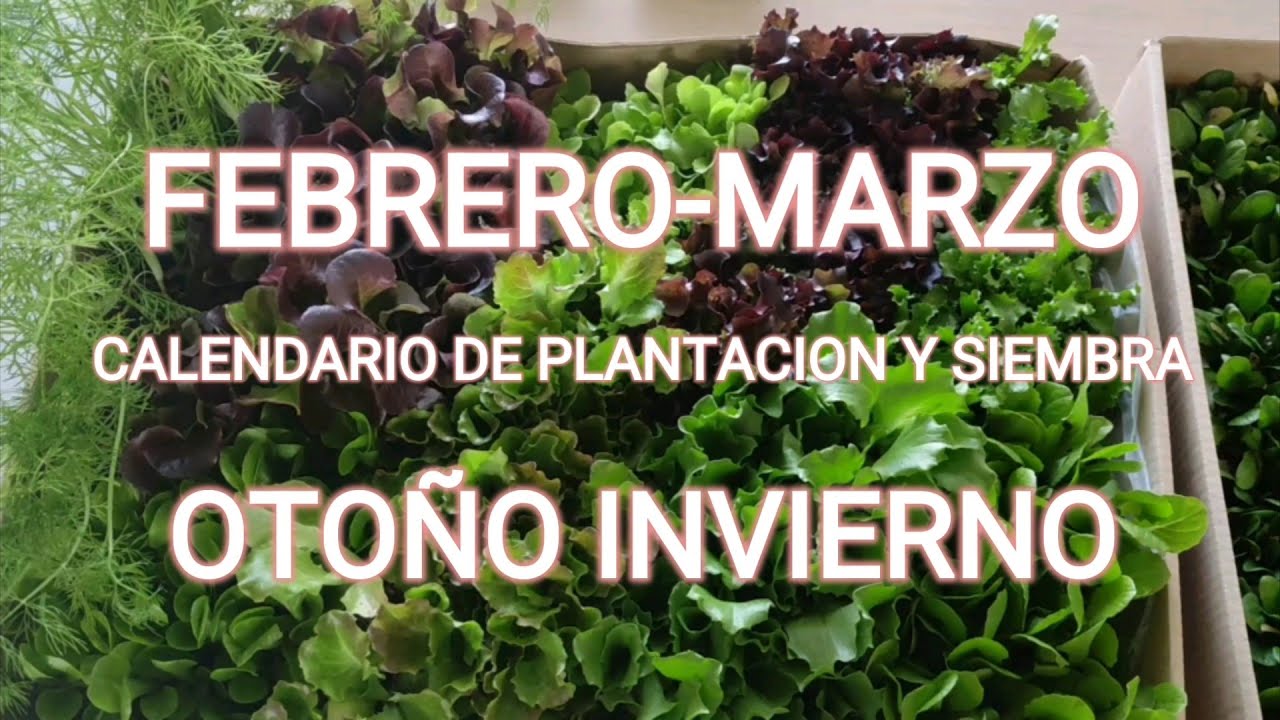 que plantar en marzo en andalucia