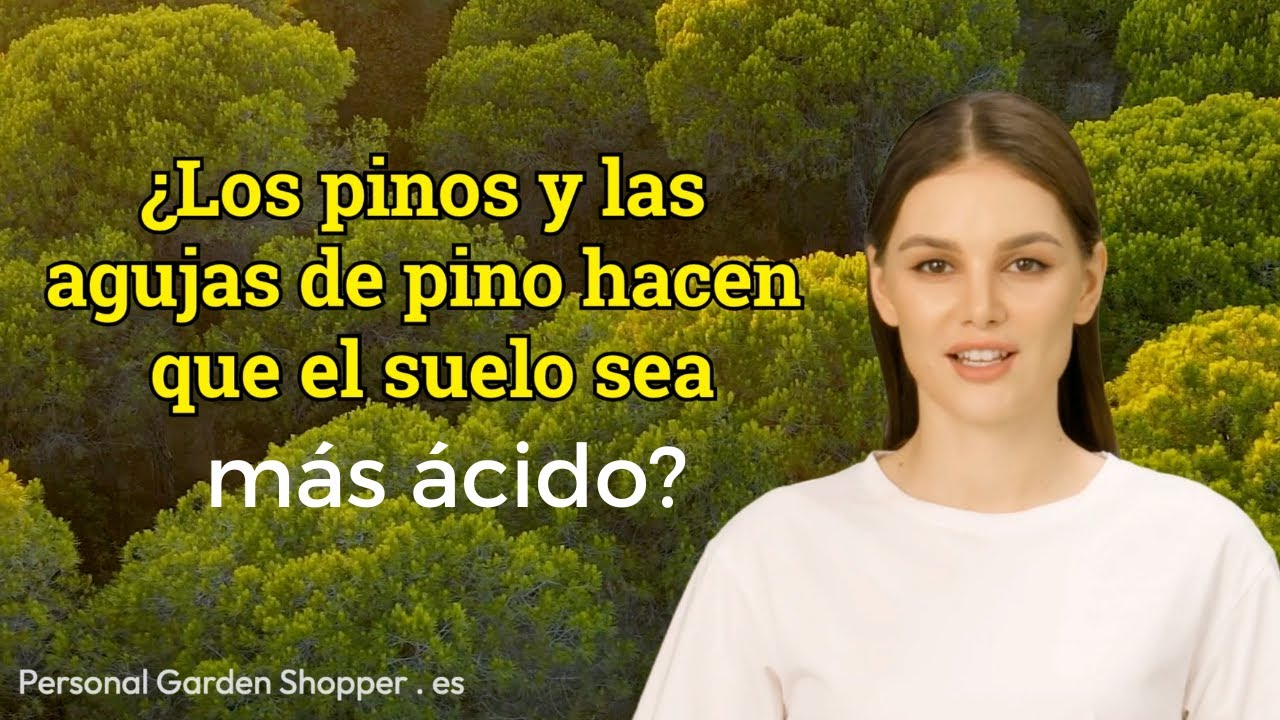 que plantar en zona de pinos