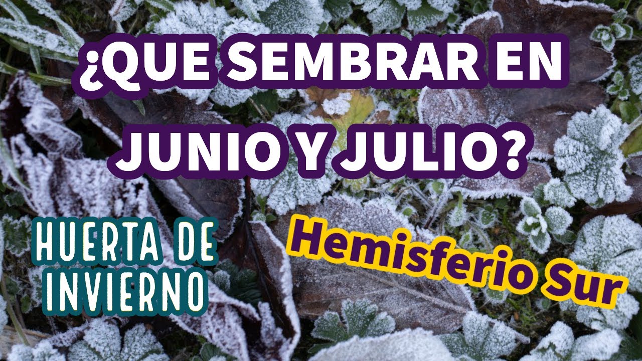 que se planta en junio y julio