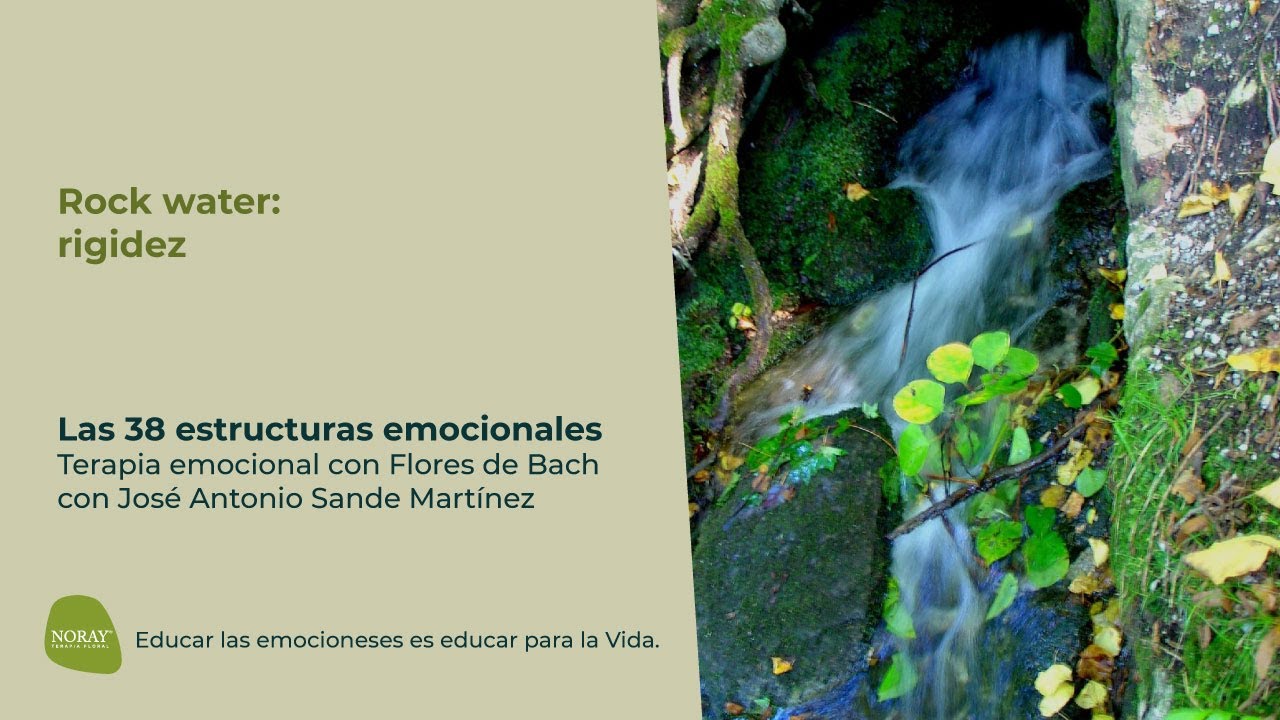 rock water la energia de las flores