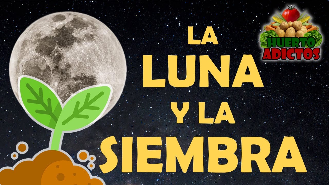 se puede plantar en luna nueva