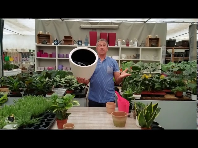 se puede poner una planta en una maceta sin agujeros