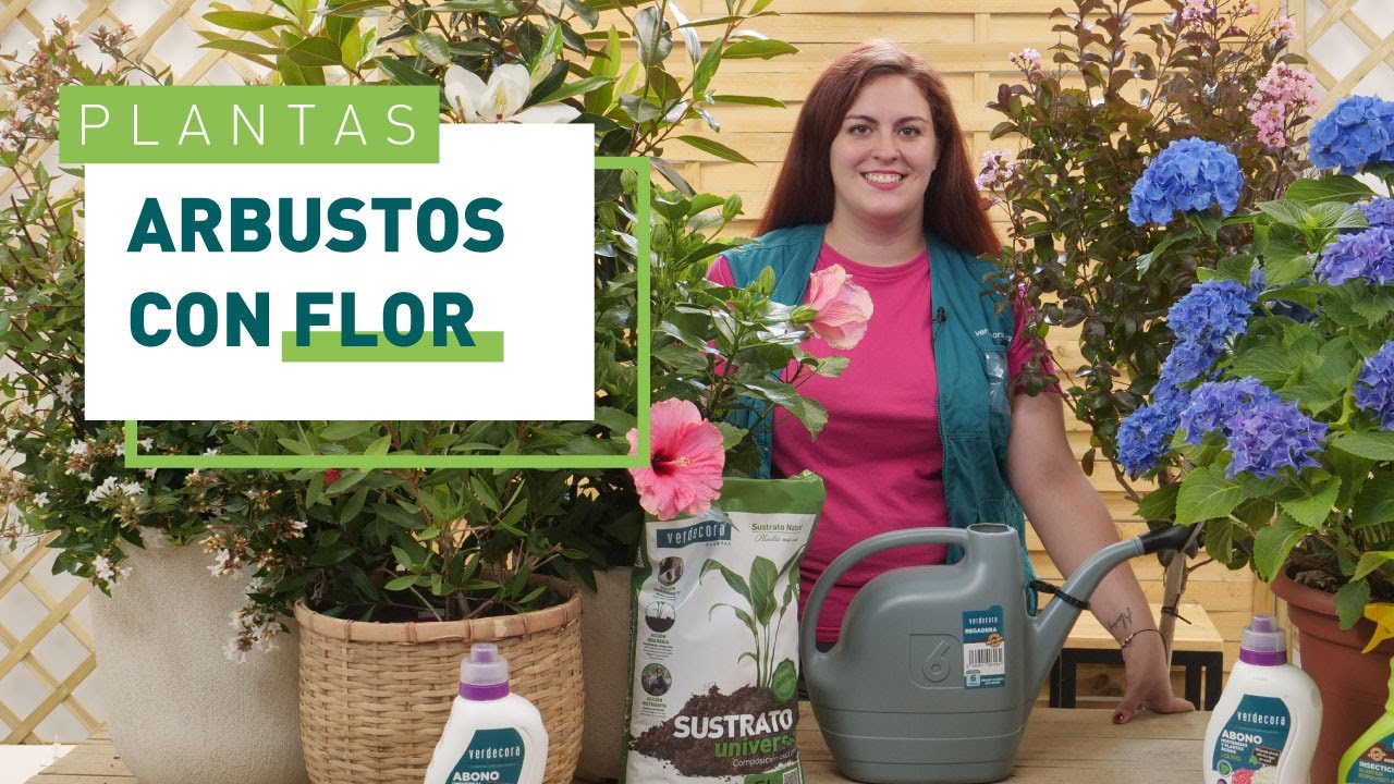 setos con flores todo el año