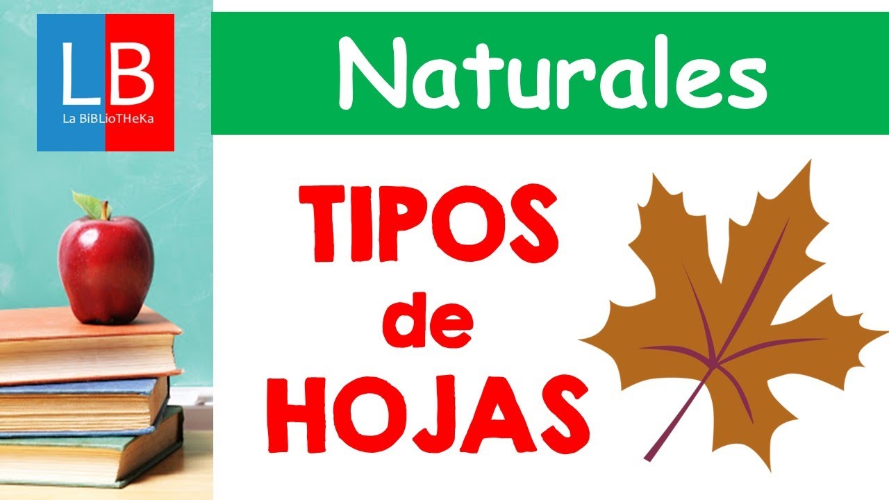 tipos de hojas de una planta