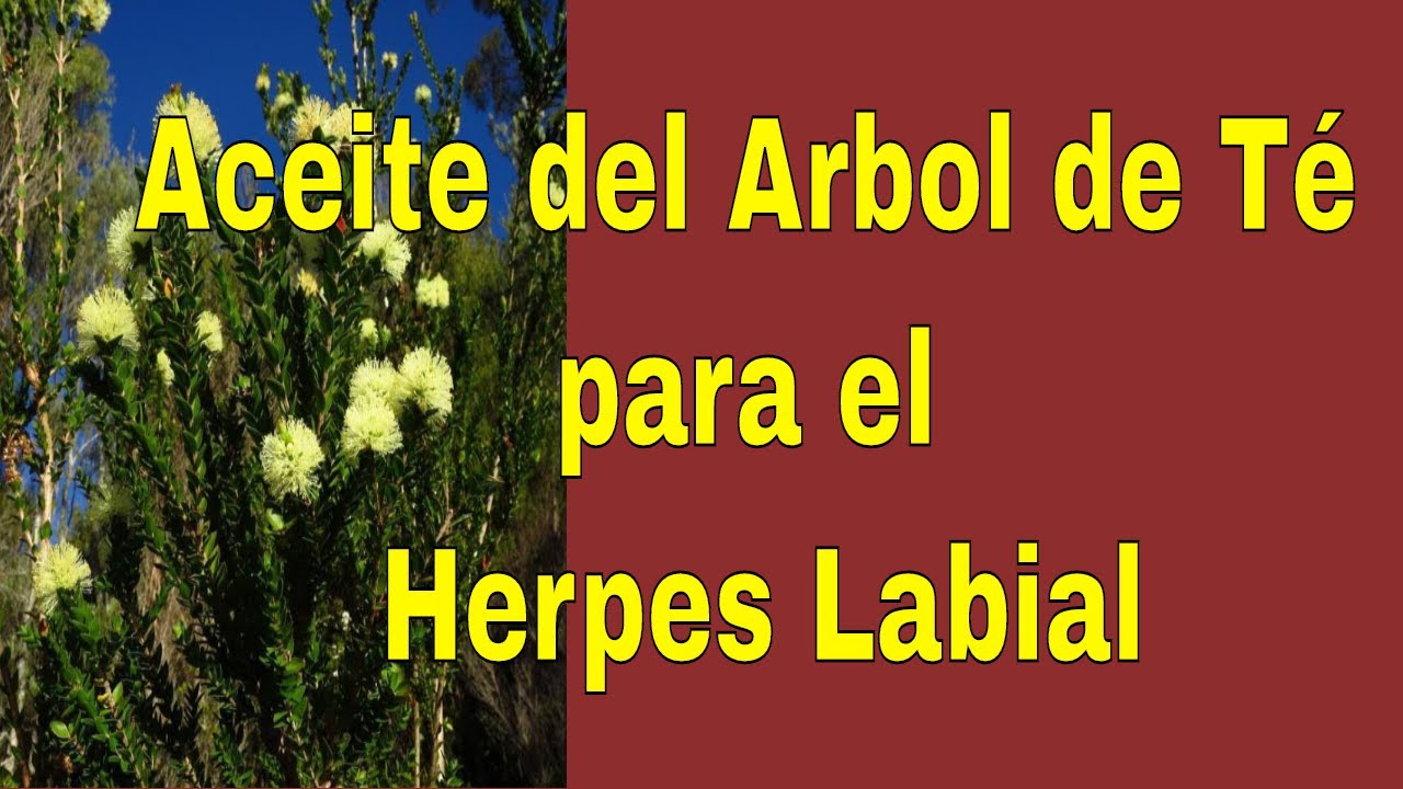 aceite arbol de te herpes labial