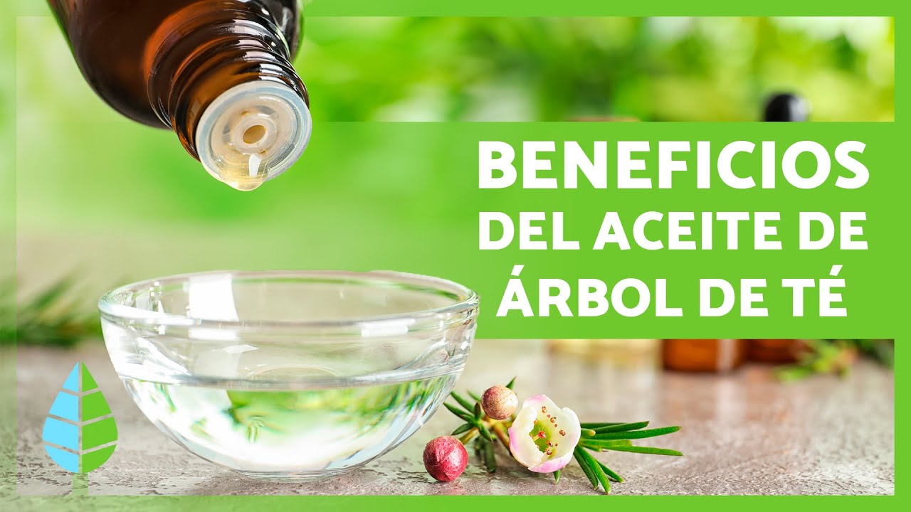 aceite de arbol de te hidratante