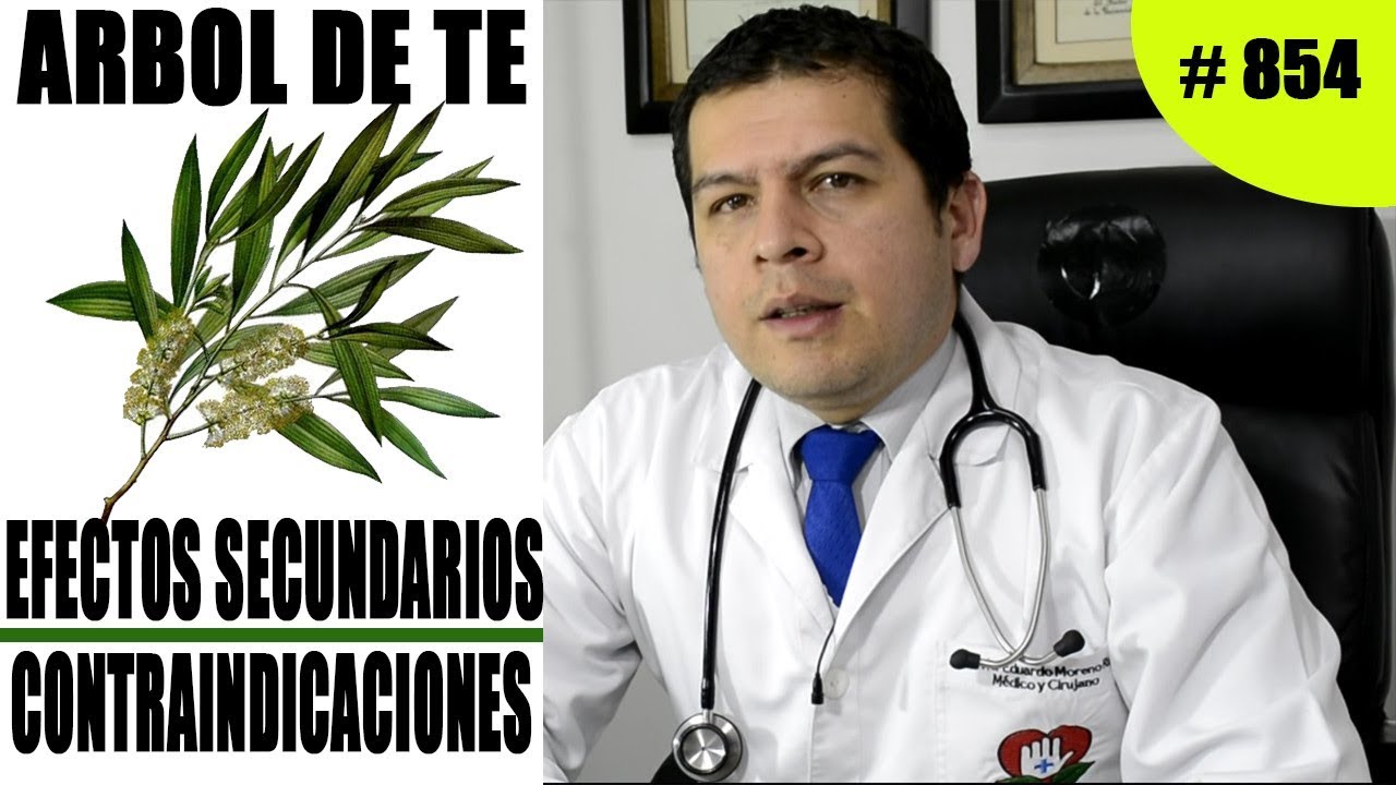 aceite de arbol de te y embarazo