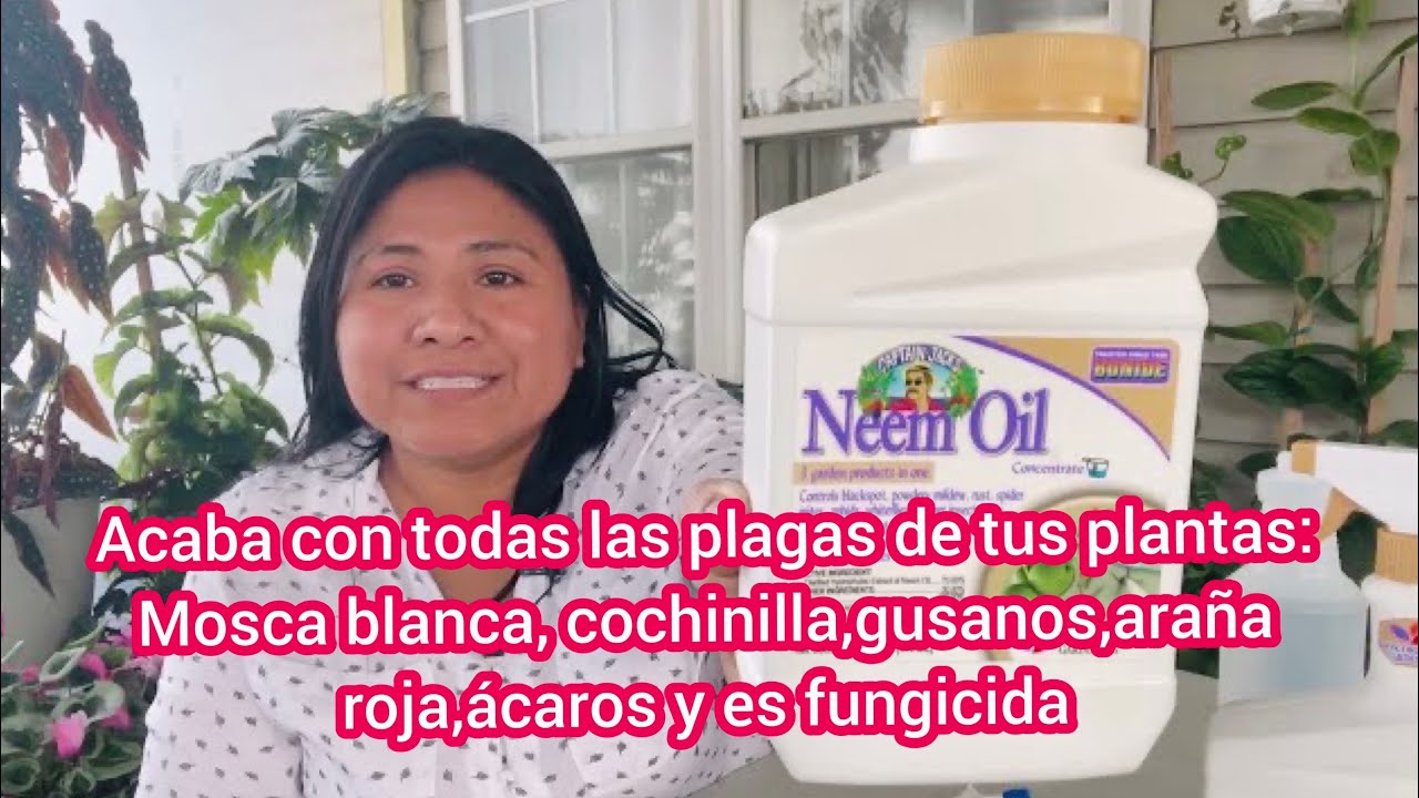 aceite de neem y jabón potásico en floración
