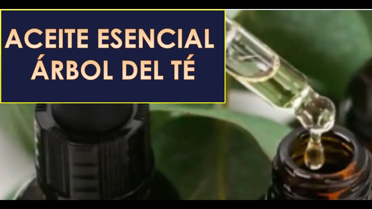 aceite del arbol de te para verrugas