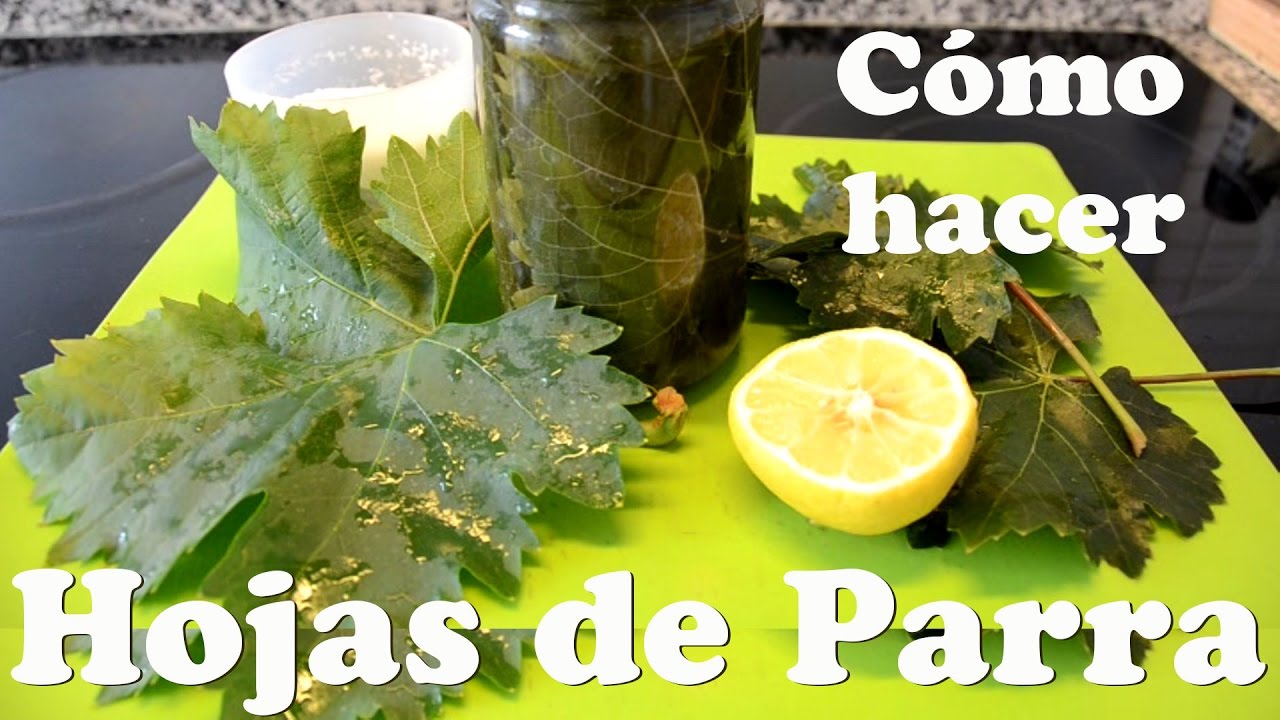 alimento elaborado con hojas de parra