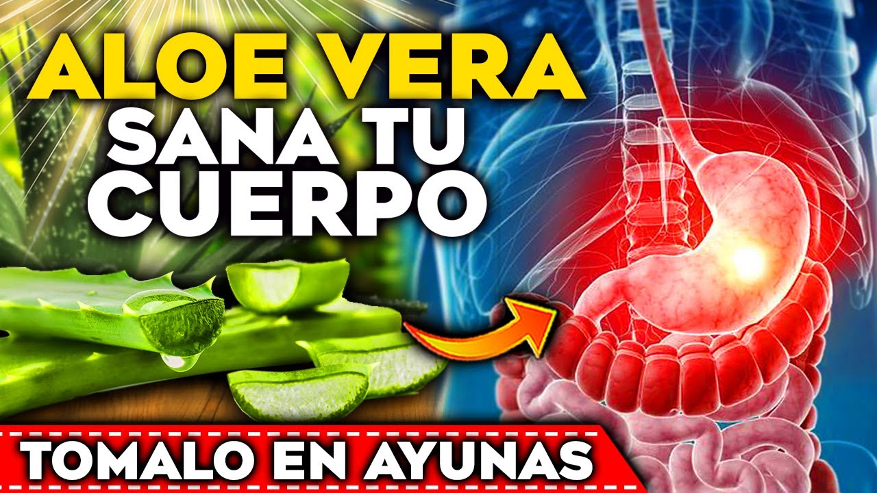 aloe vera jugo de hoja entera
