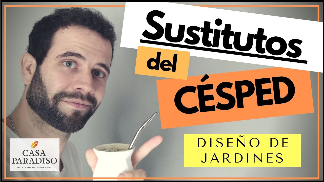 alternativas al cesped en el jardin