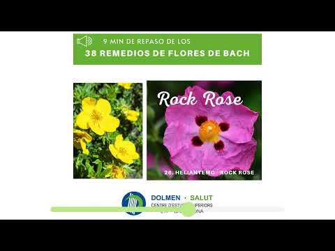 aplicaciones de las flores de bach