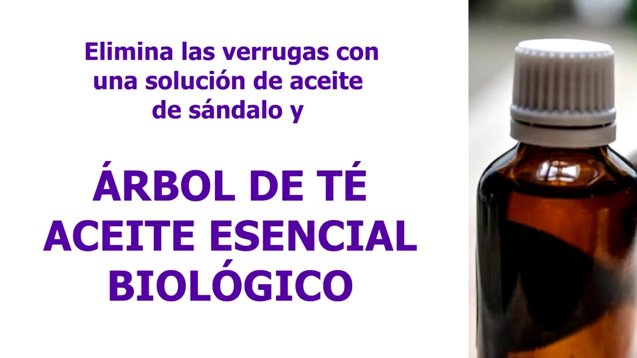 arbol de te aceite esencial biologico
