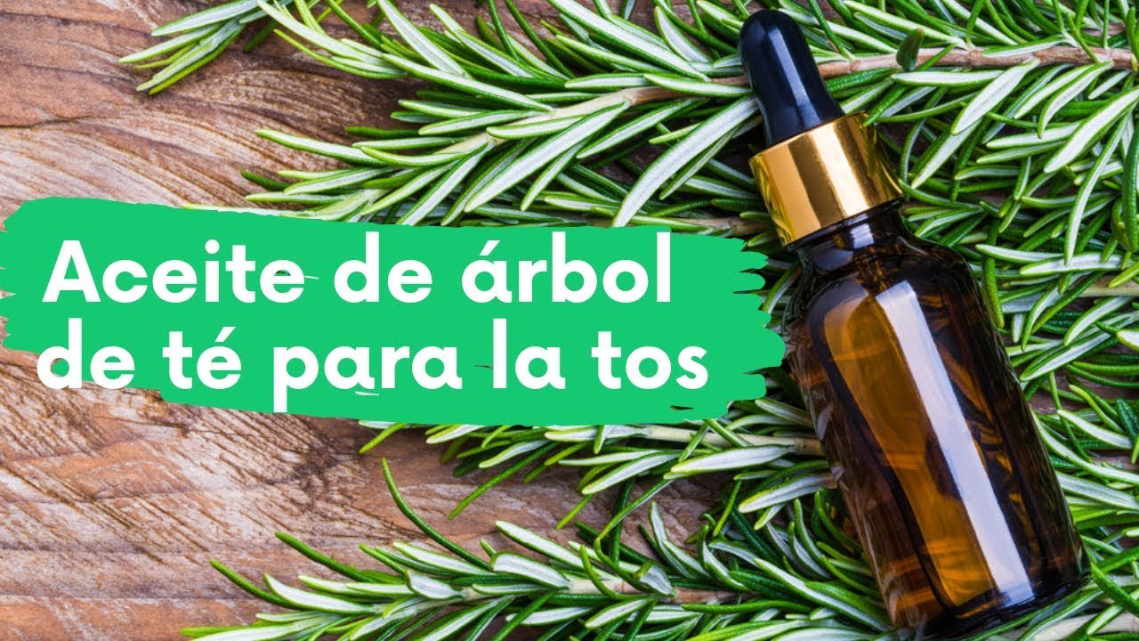 arbol de te para la tos