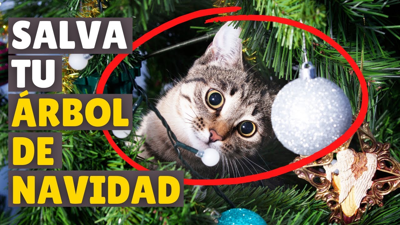 arbol navidad a prueba de gatos