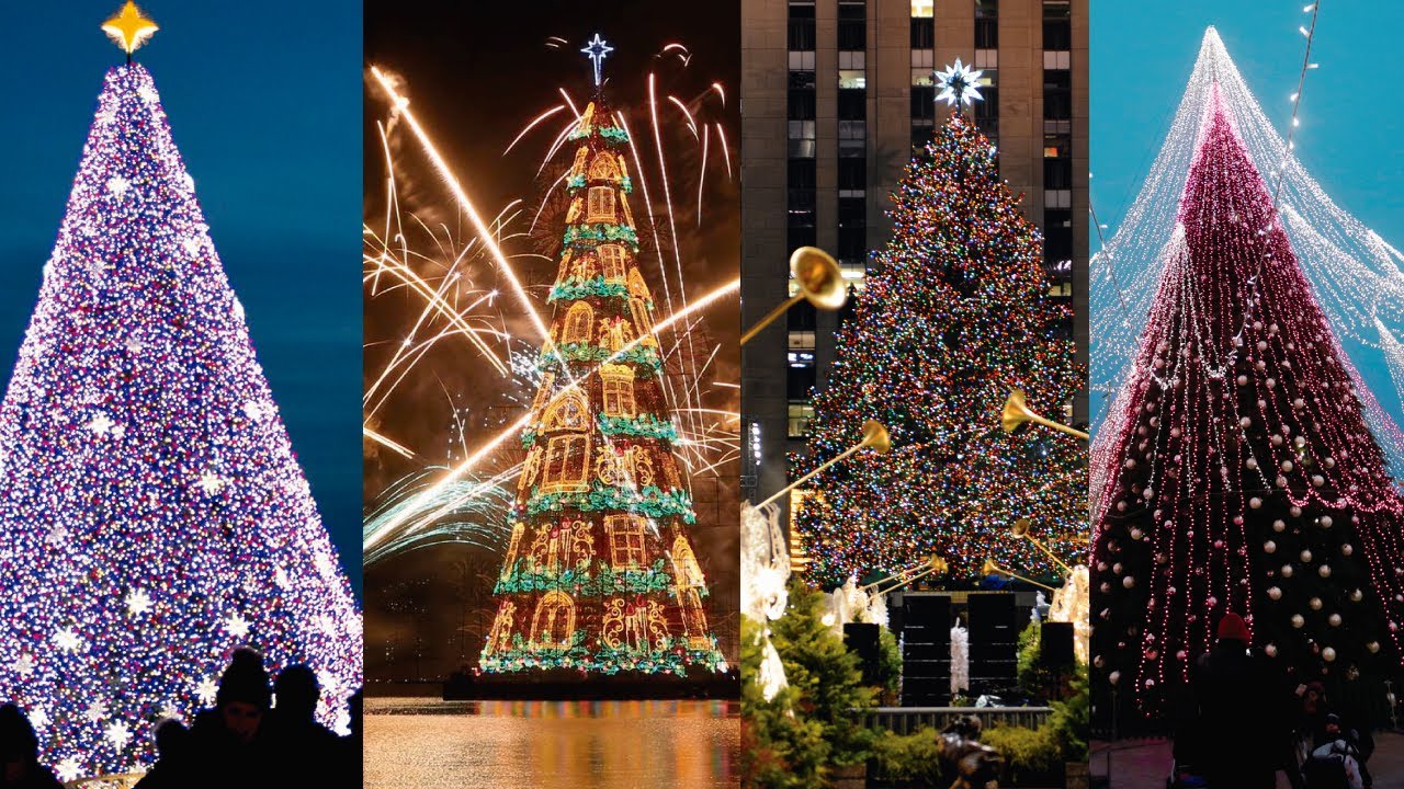 arboles de navidad estrechos y altos