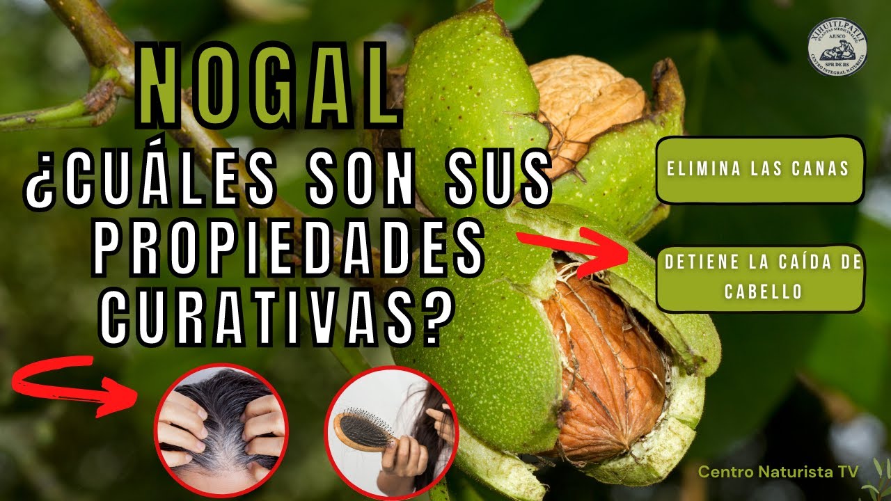 beneficios de la hoja de nogal