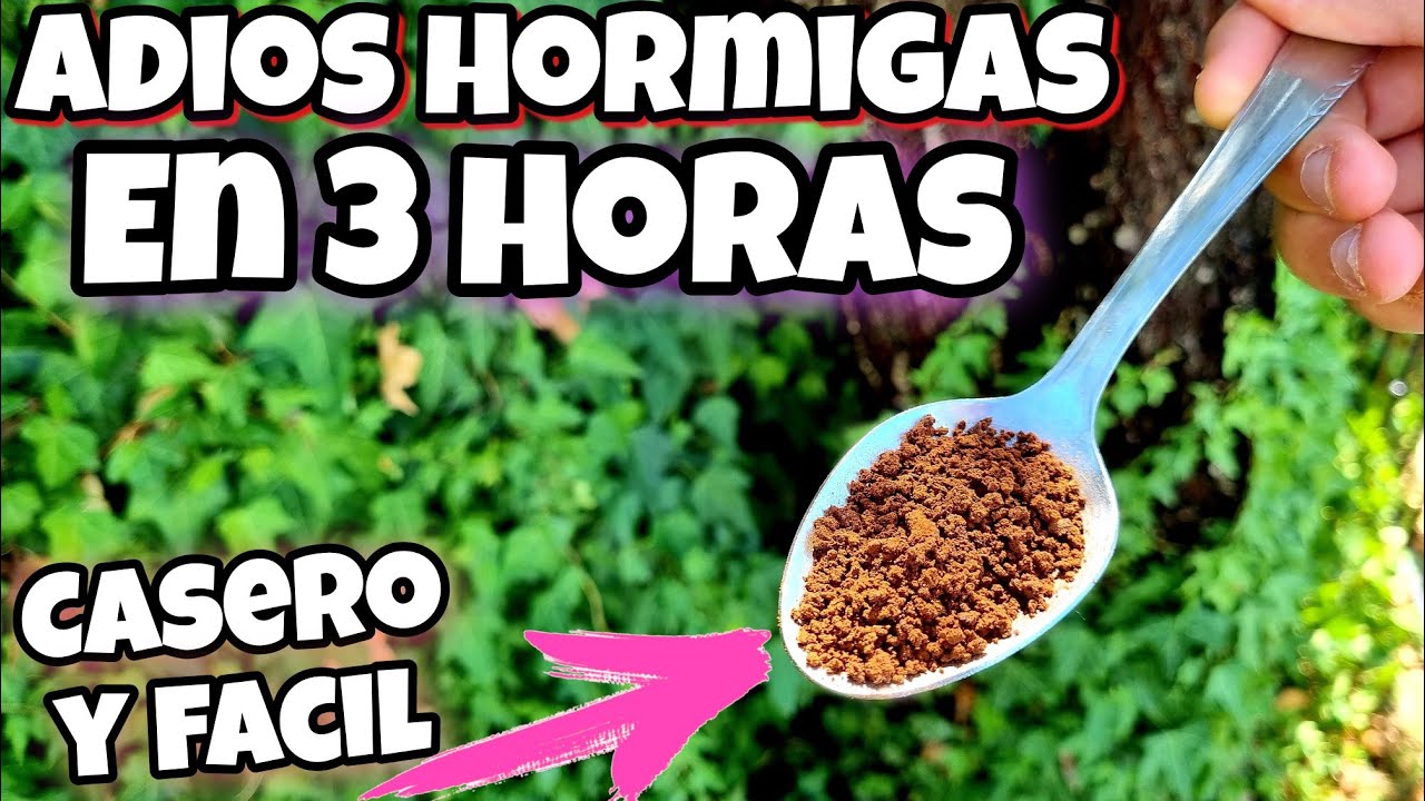 como acabar con las hormigas en el jardin