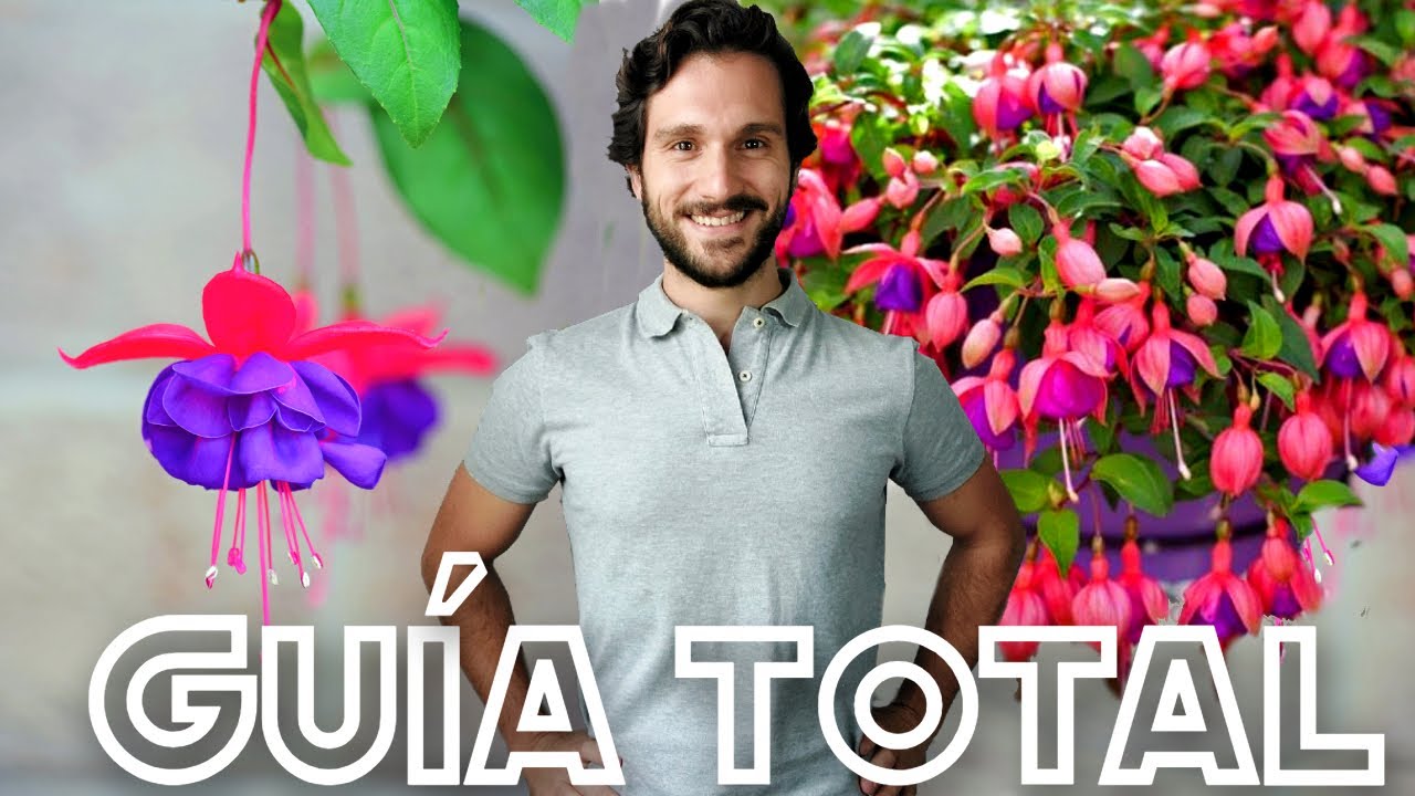 como cuidar los pendientes de la reina