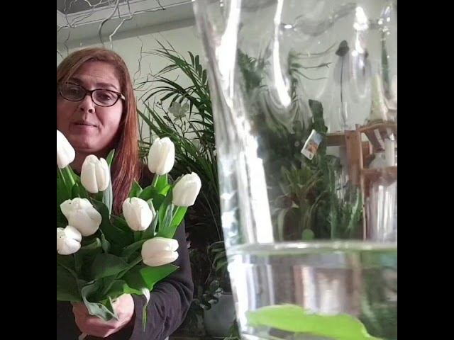 como cuidar un ramo de tulipanes