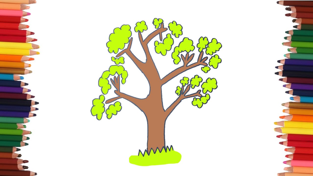 como dibujar un arbol con ramas
