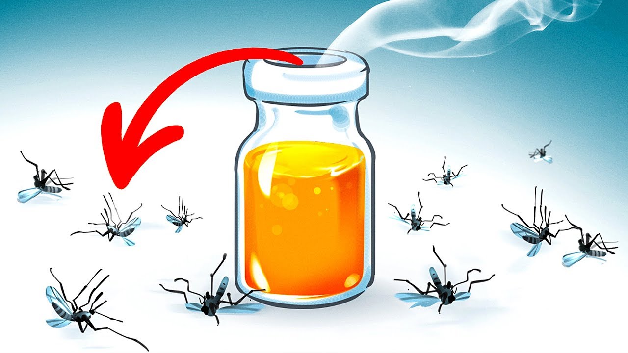 como eliminar los mosquitos del jardin