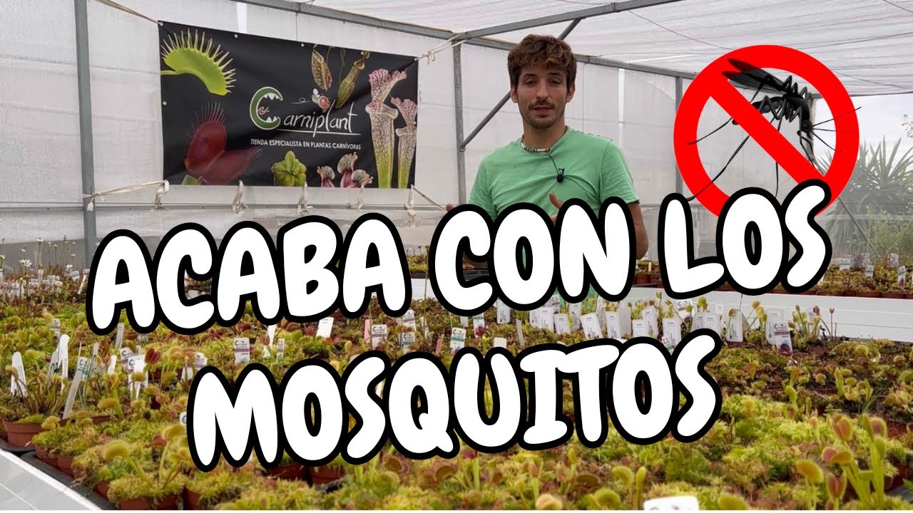 como eliminar mosquito tigre de jardin