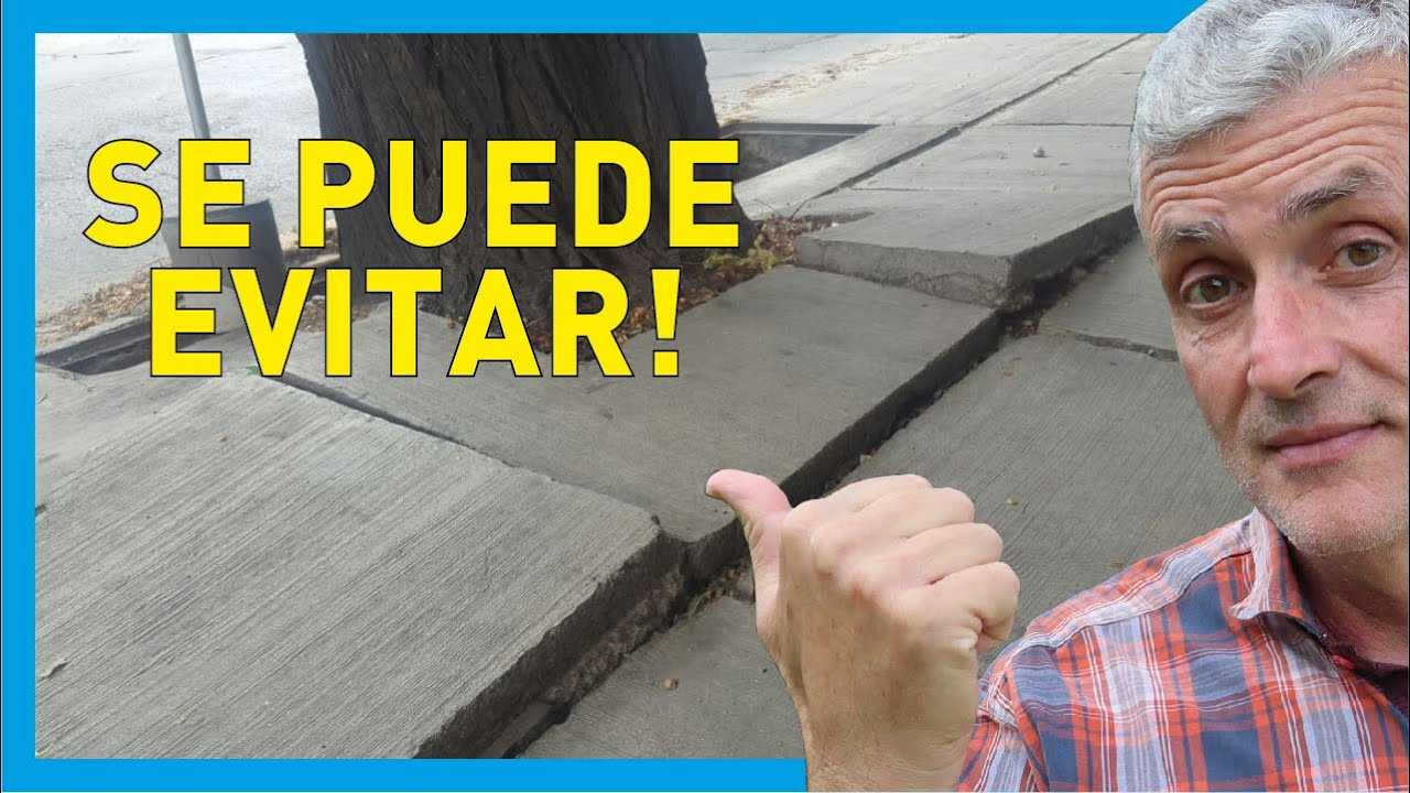 como evitar que crezcan las raices de un arbol