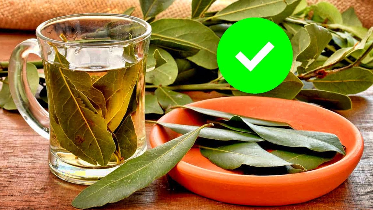como hacer te de hojas de laurel