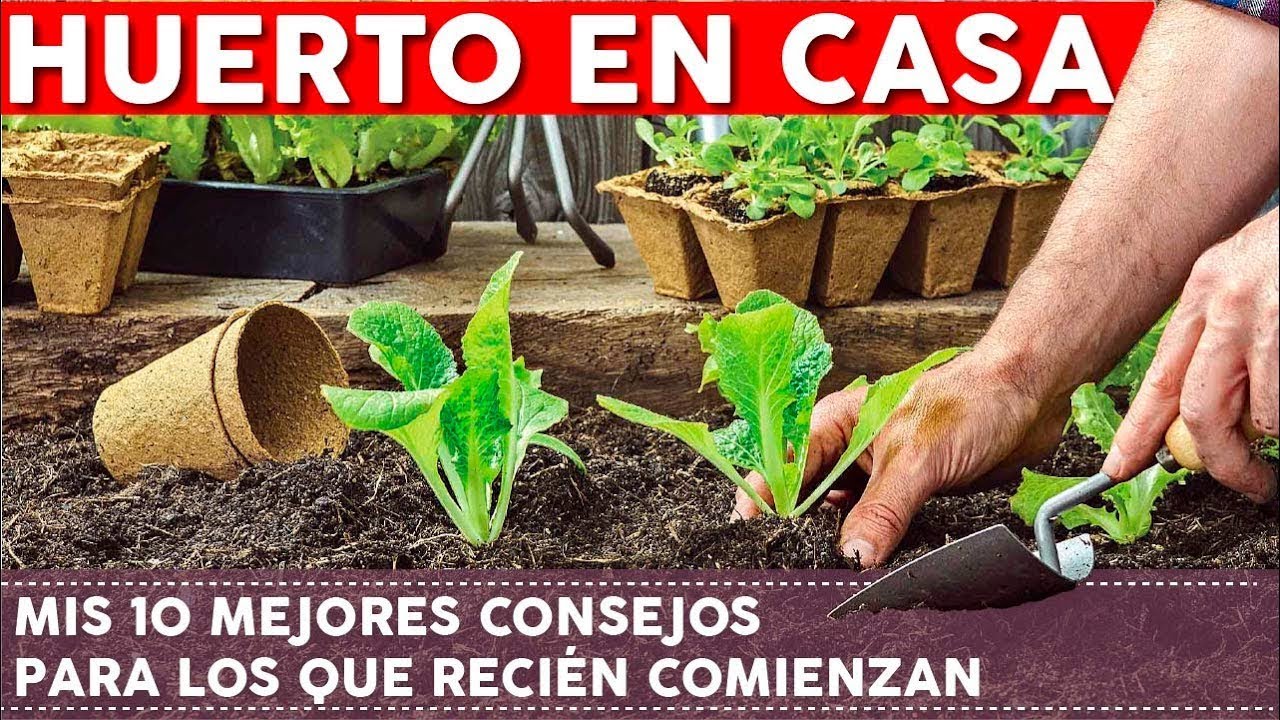 como hacer un huerto en el jardin