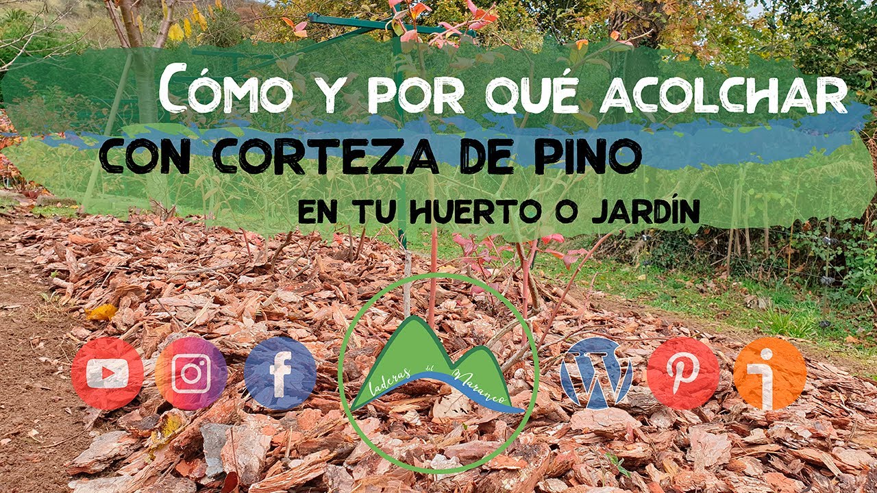 como poner corteza de pino en el jardin