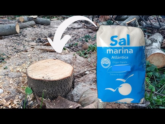 como quitar un árbol de mi jardín