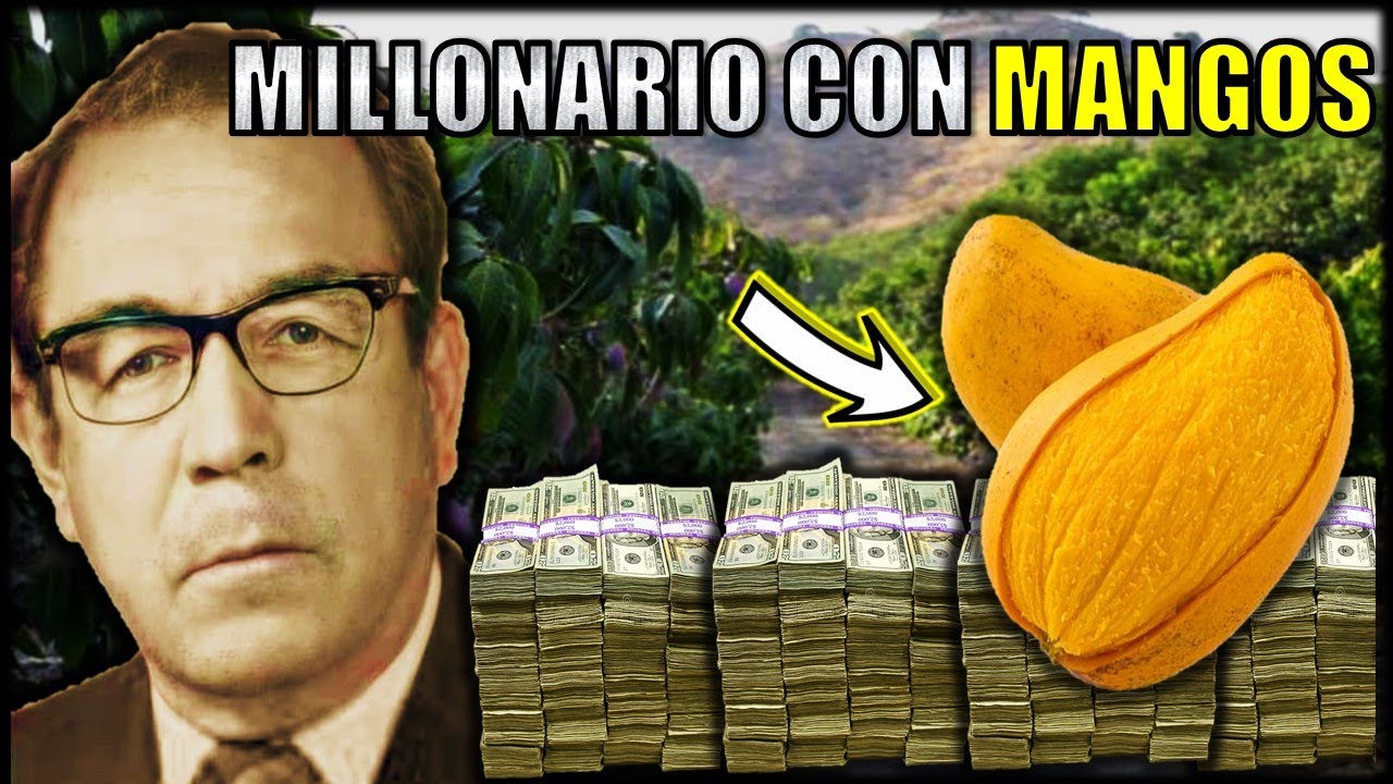 como se llama el arbol de mango