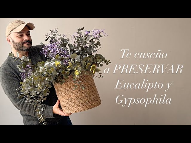 como secar ramas de arboles para decoracion