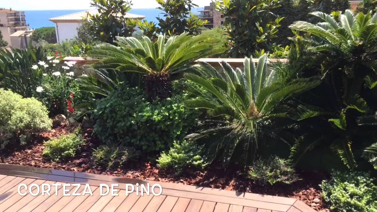 corteza de pino para decorar jardines