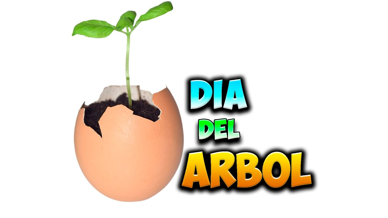 cuando es el dia del arbol