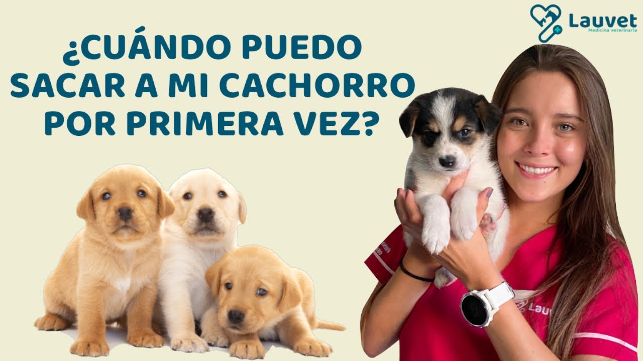 cuando puede salir un cachorro al jardín