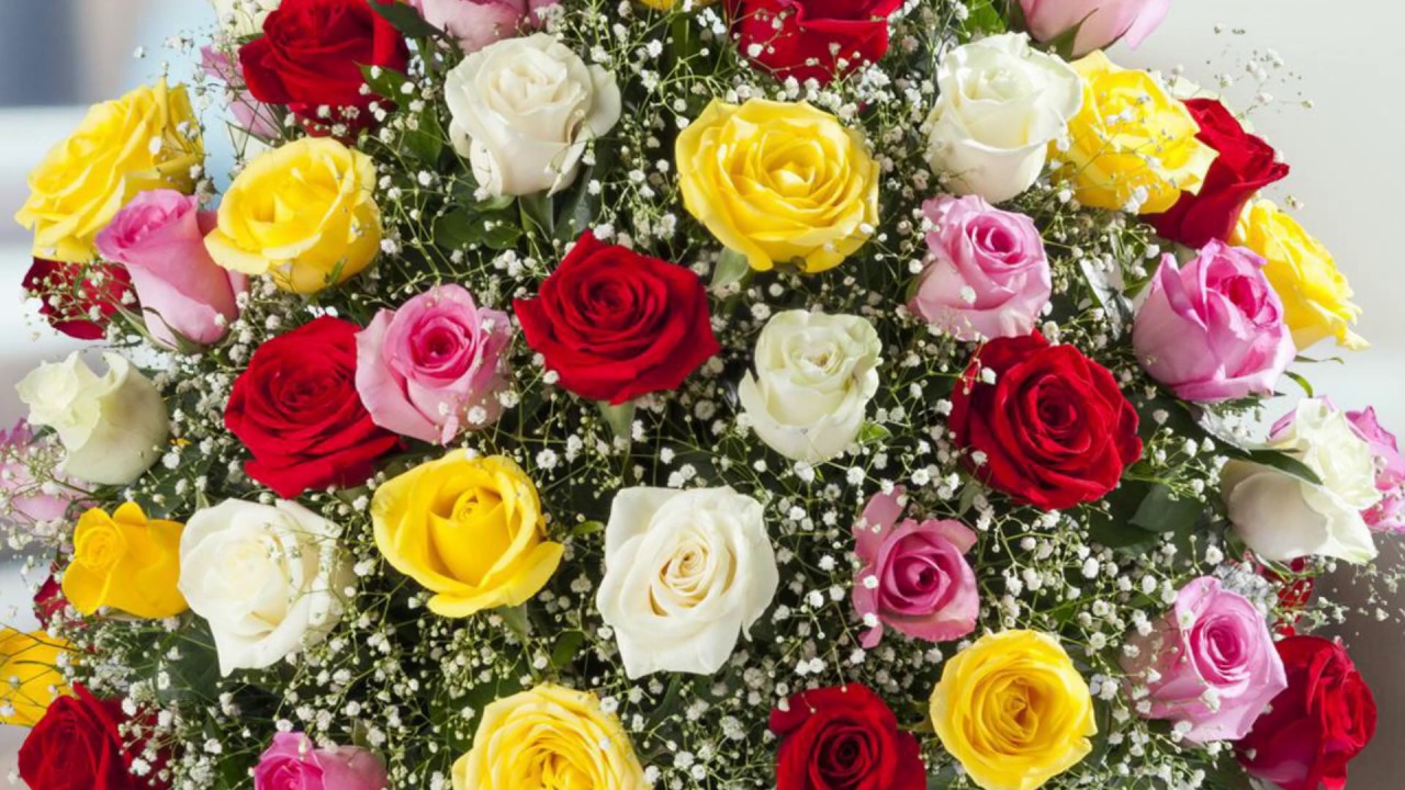de que colores son las rosas