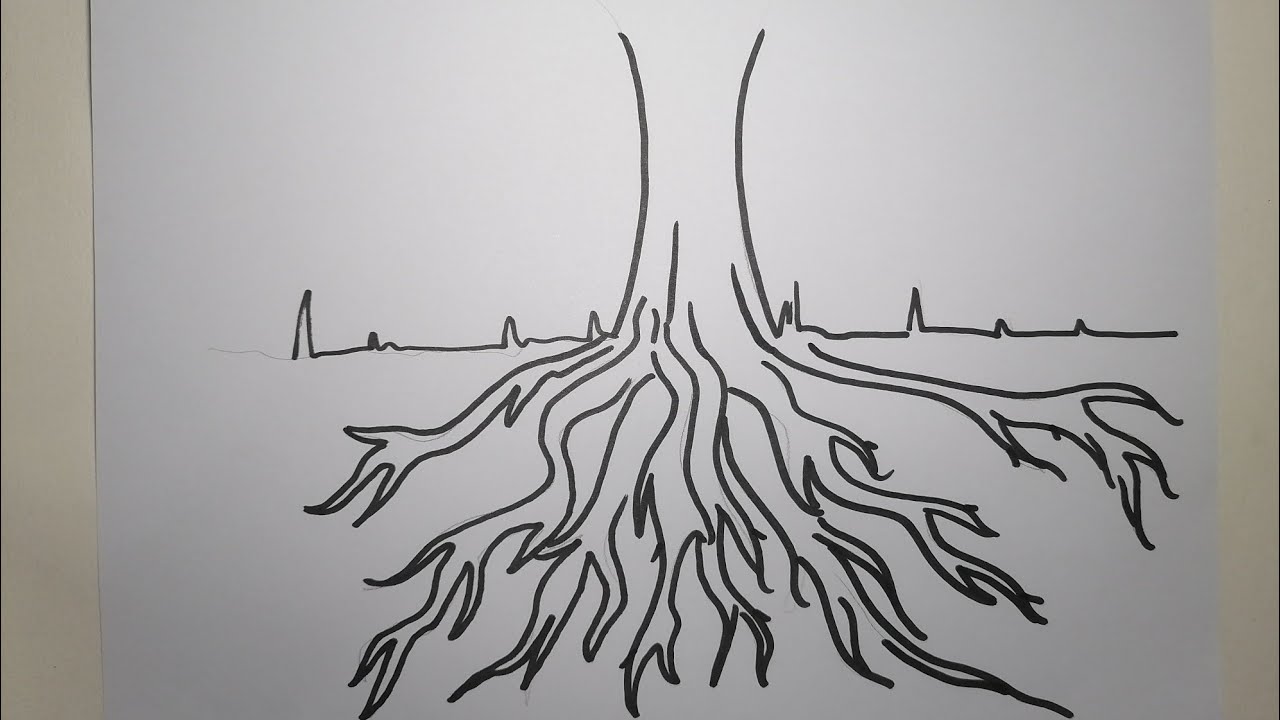 dibujo de arbol con raices y ramas