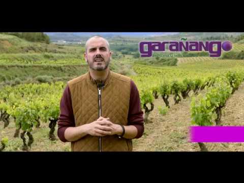 diferencia entre oxicloruro de cobre y sulfato de cobre