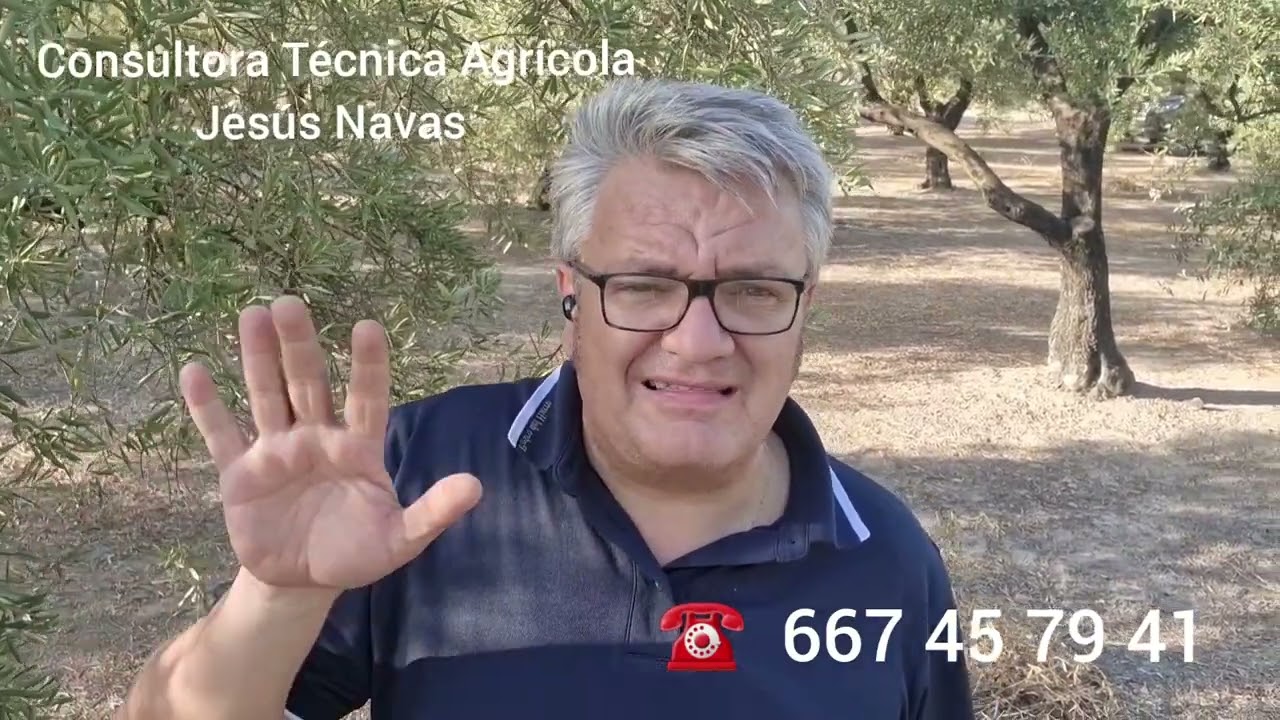 dosis de sulfato de cobre para el olivo